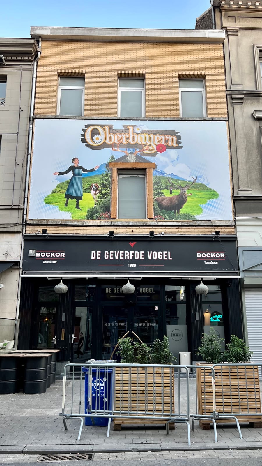 De Geverfde Vogel