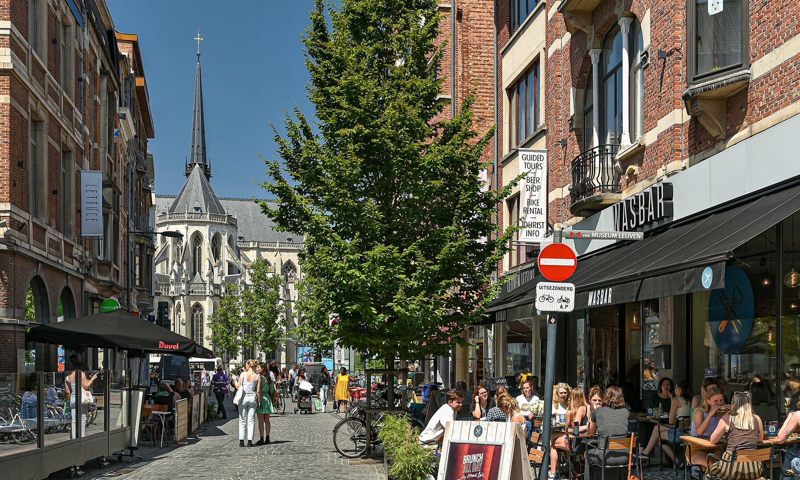 Dokteur Bar Leuven photo 5