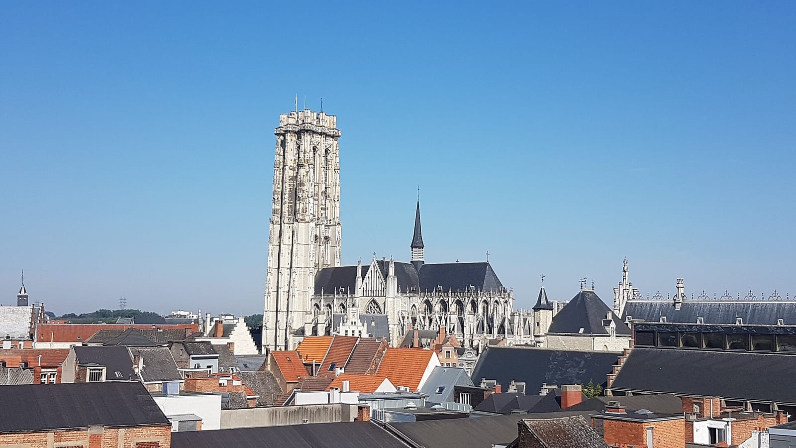 IzyCoffee Mechelen photo 5