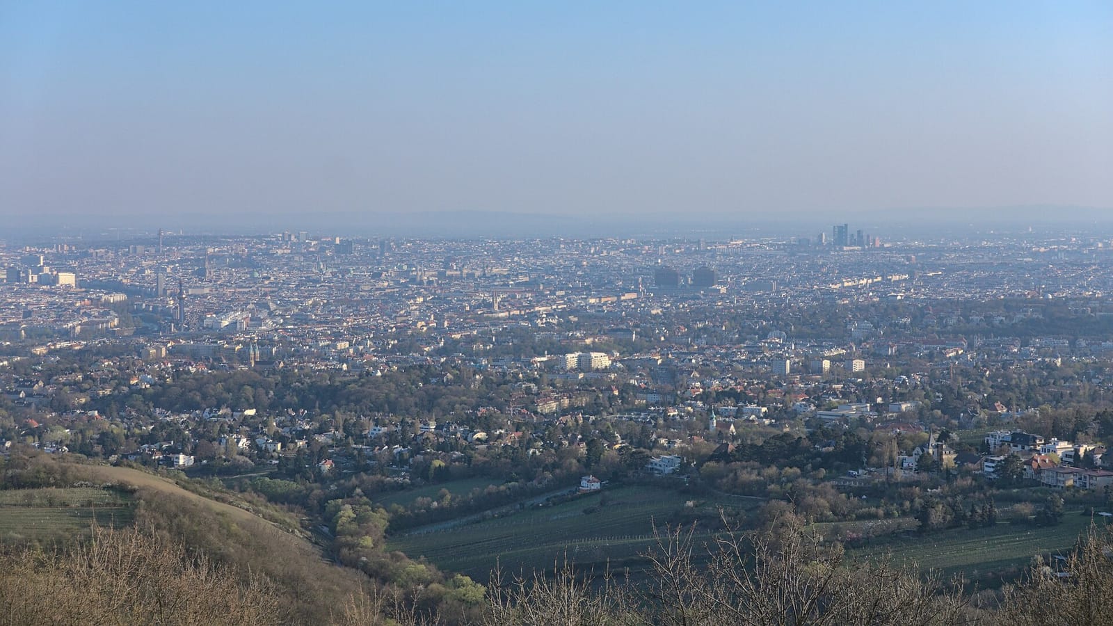 Cafe Kahlenberg - Selbstbedienungslokal photo 2