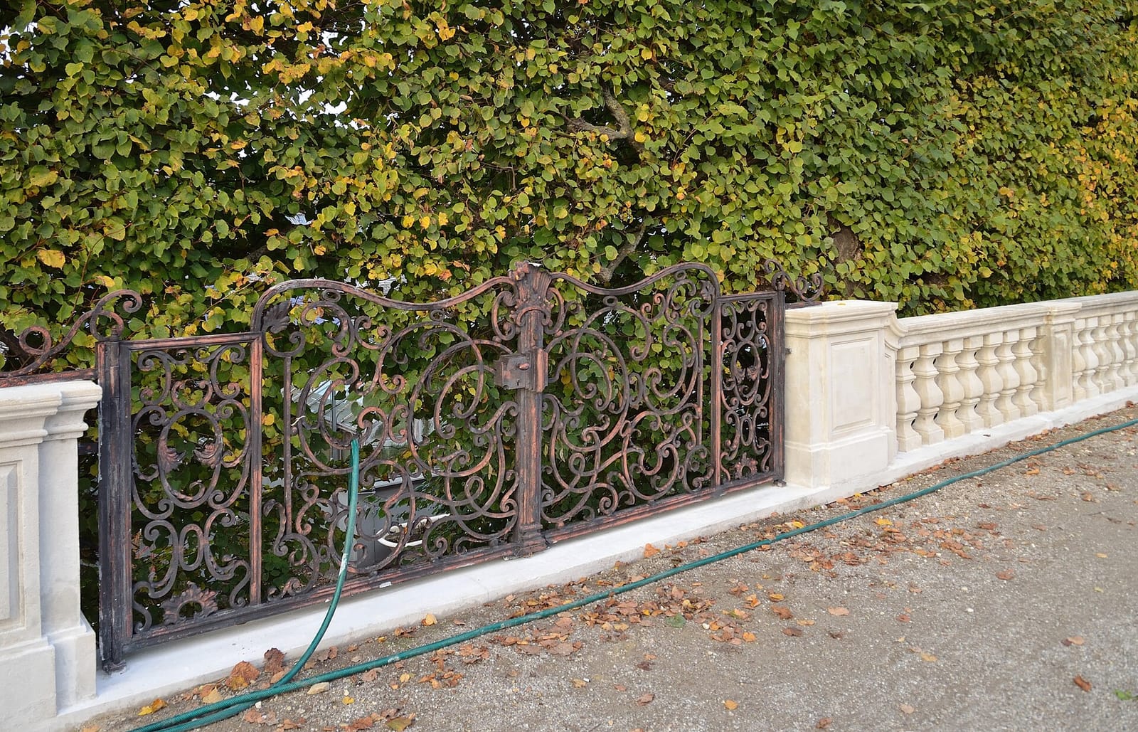 Café Pavillon photo 5