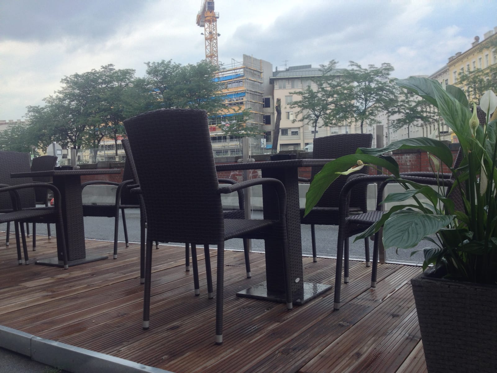Café Esplanada photo 8