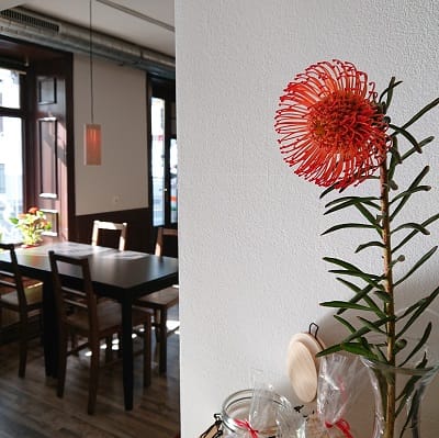 Kleines Wiener Café // Toluka Specialty Coffee Roasters photo 3