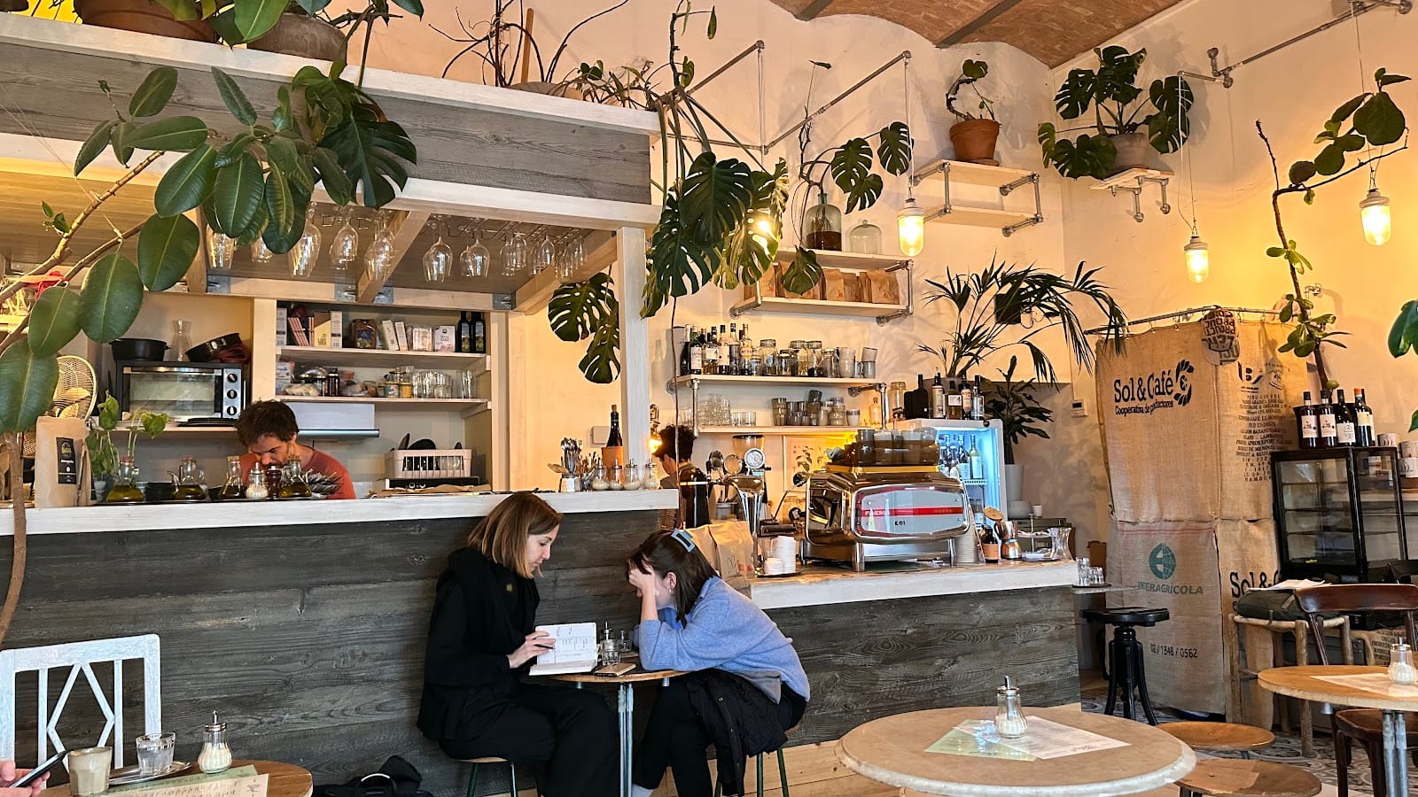 Bio Cafe Blütezeit