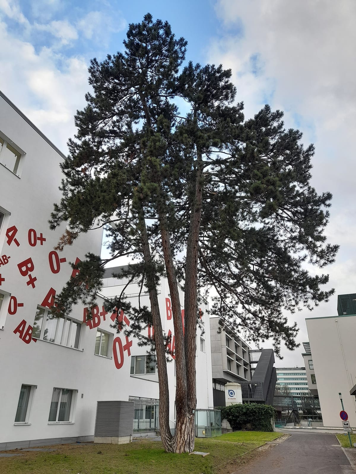 Café Vital MedCampus III Linz photo 2
