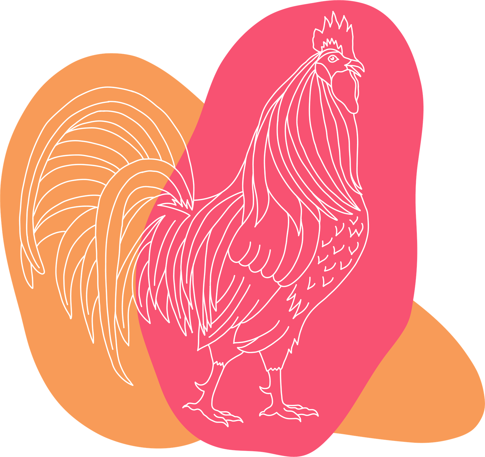 Bantam Coffee Roasters