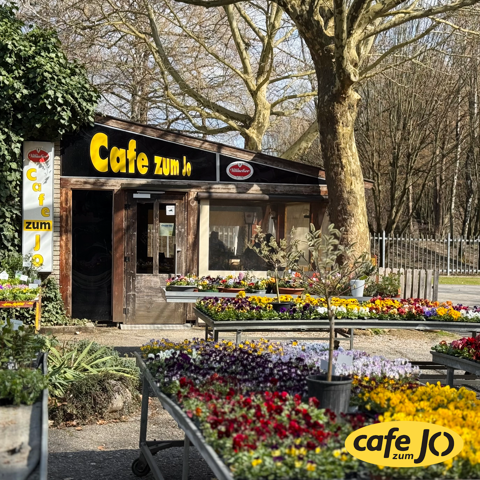 ZUM JO - Cafe Villach