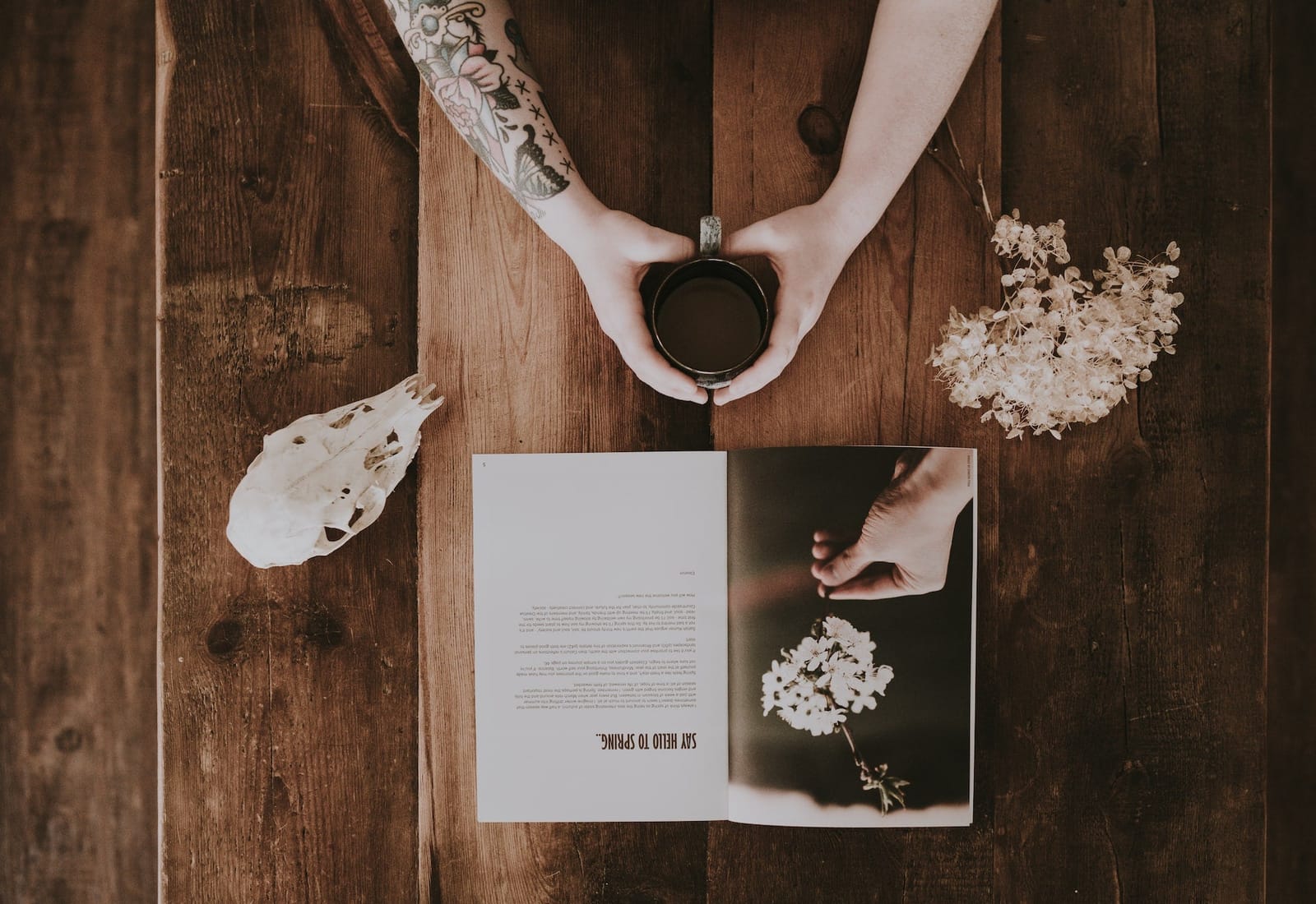 Coffee&Vintage photo 3
