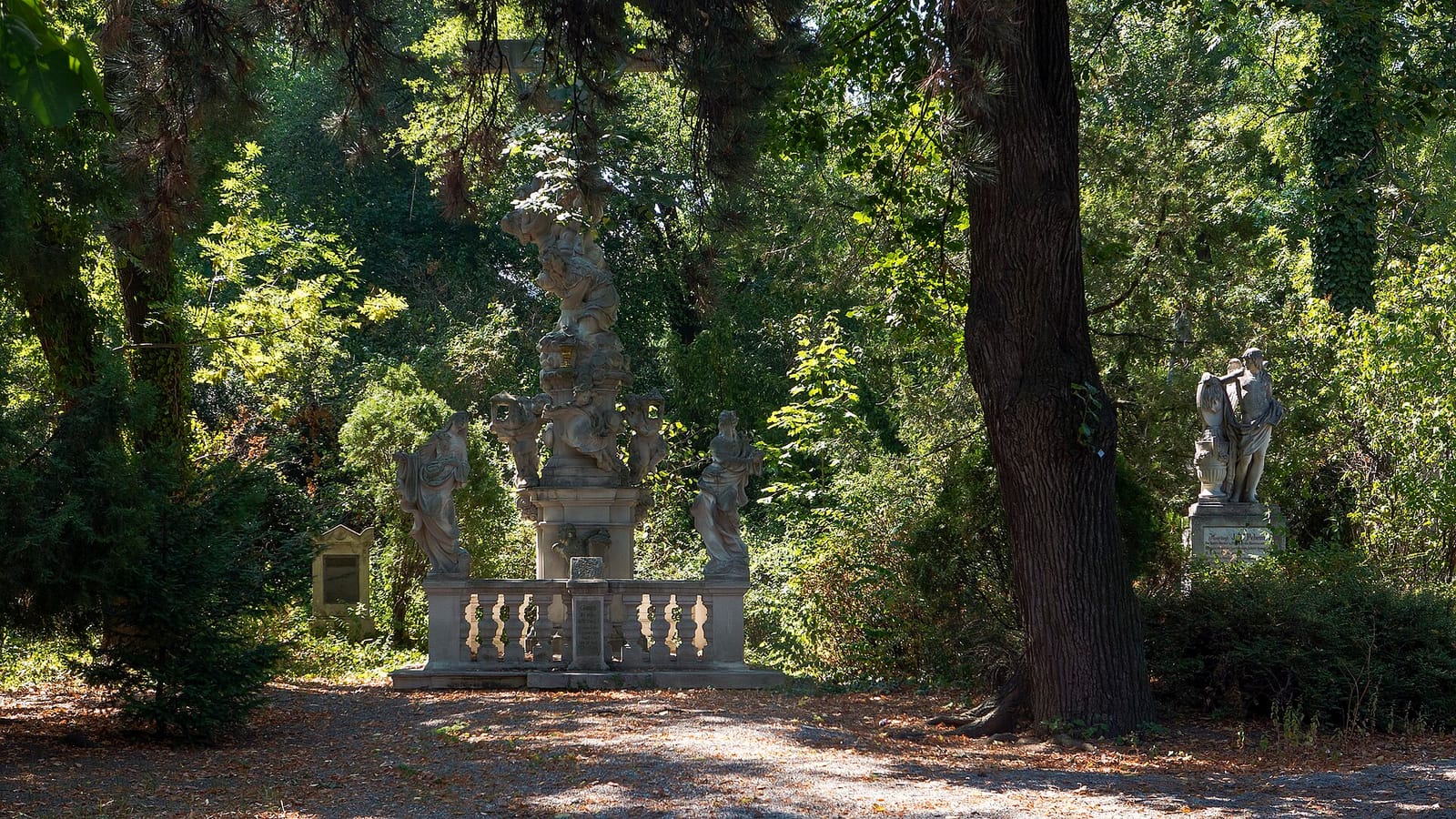 Vitavien photo 5