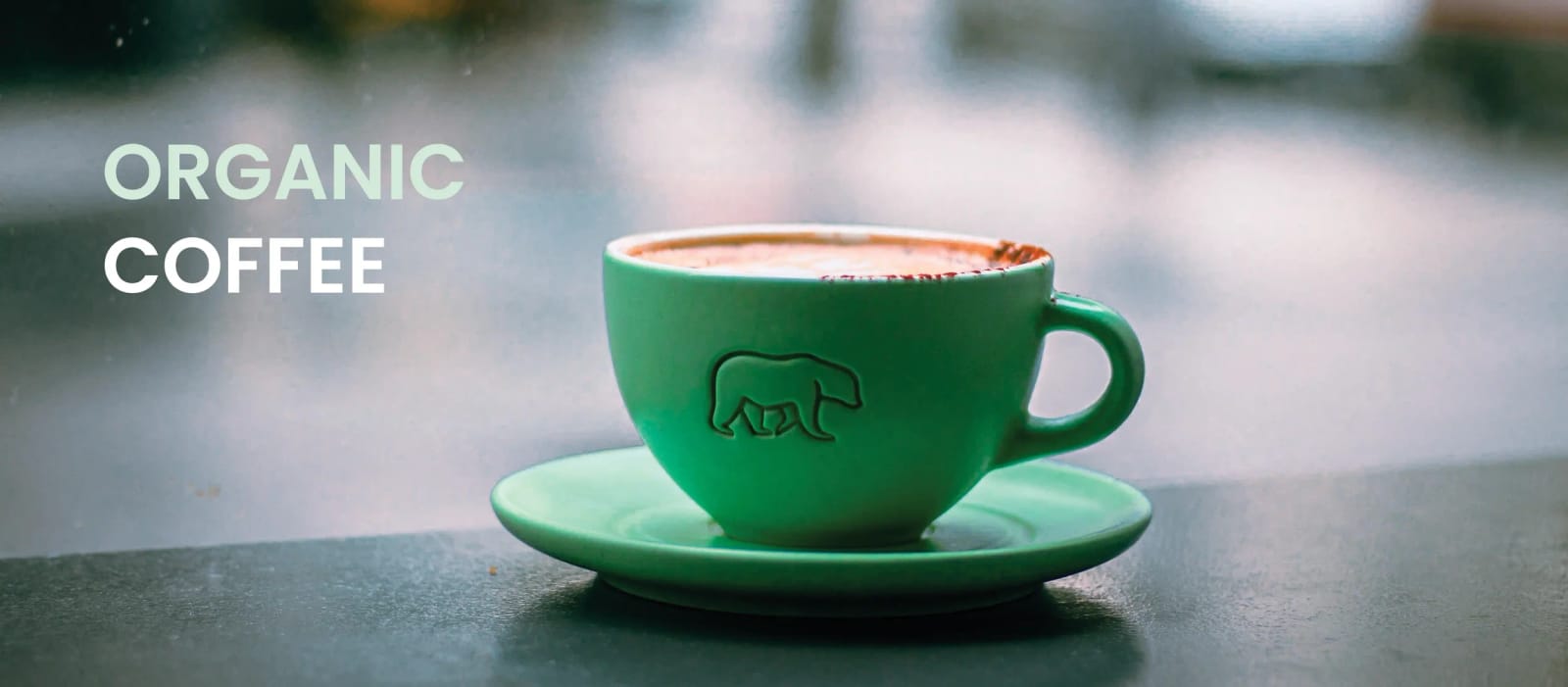Arctic Juice & Cafe, Genève photo 7