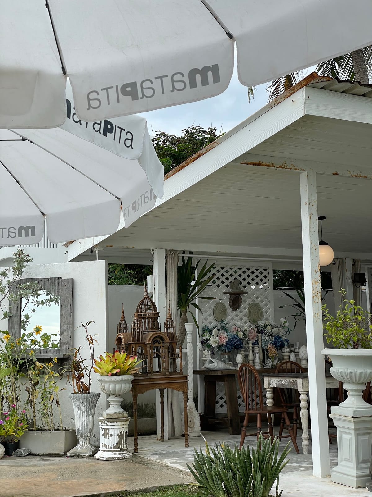 MATAPITA.TEA