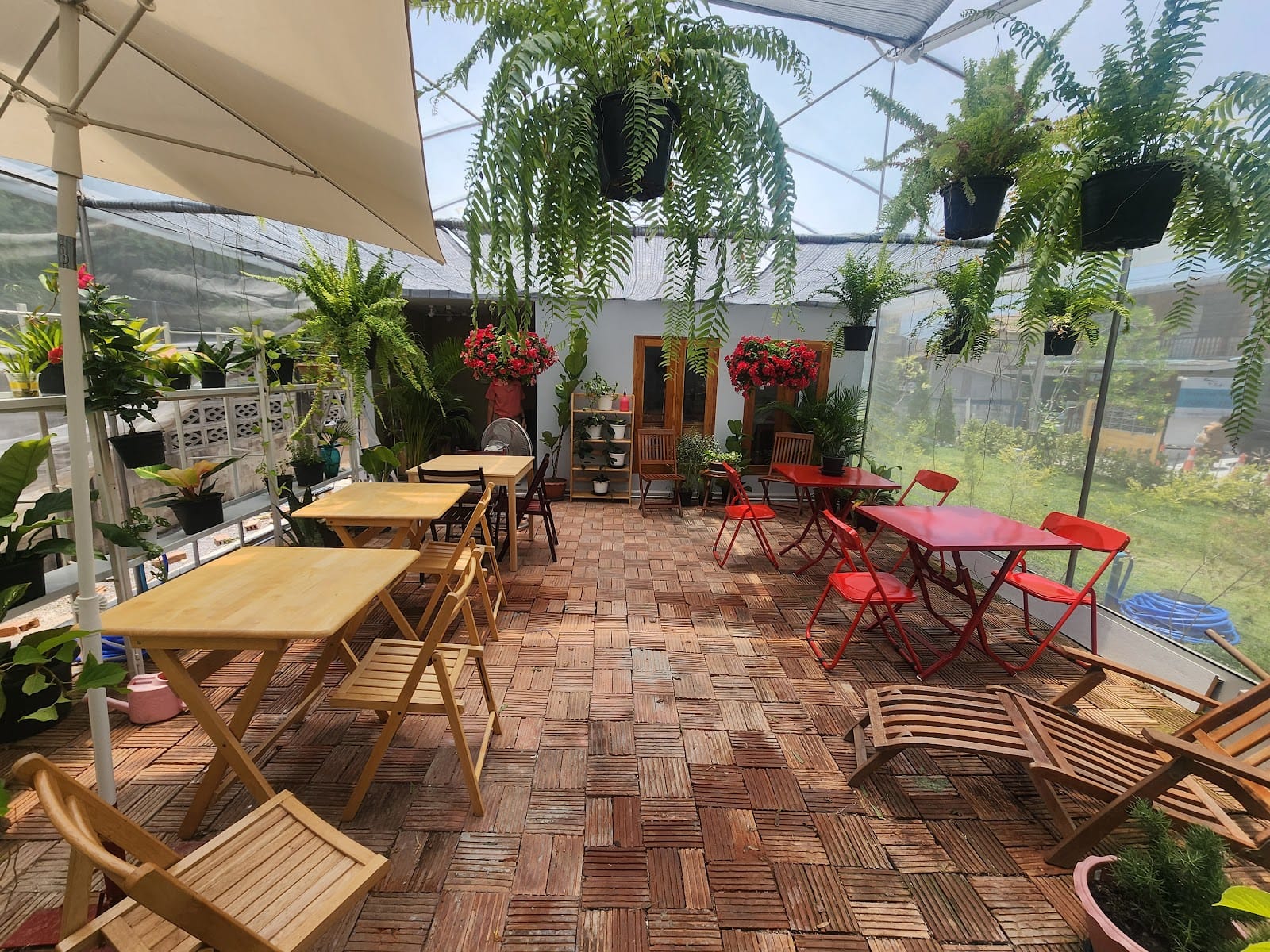 Phyllie Cafe