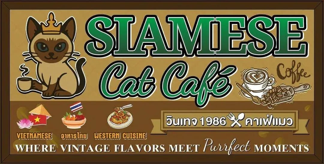 Siamese Cat Café – วิเชียรมาศ แคท คาเฟ่ photo 3
