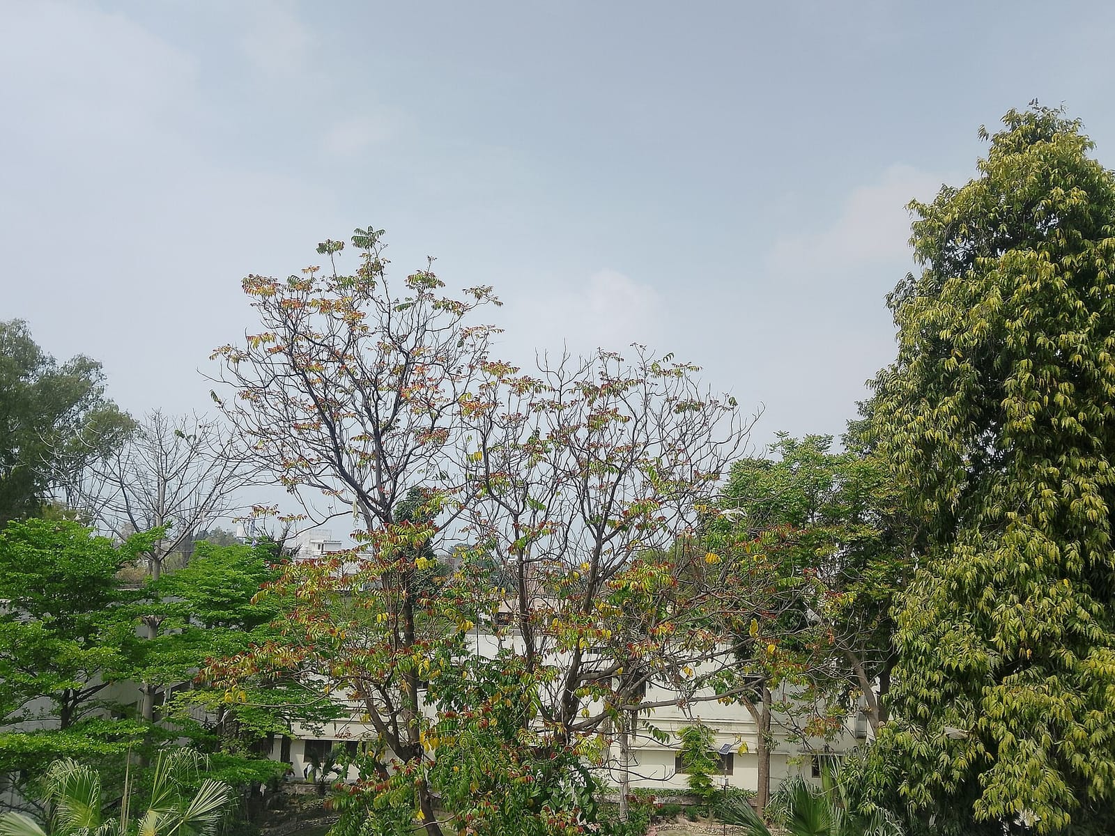 Chapter One (The Food Cafe) photo 3