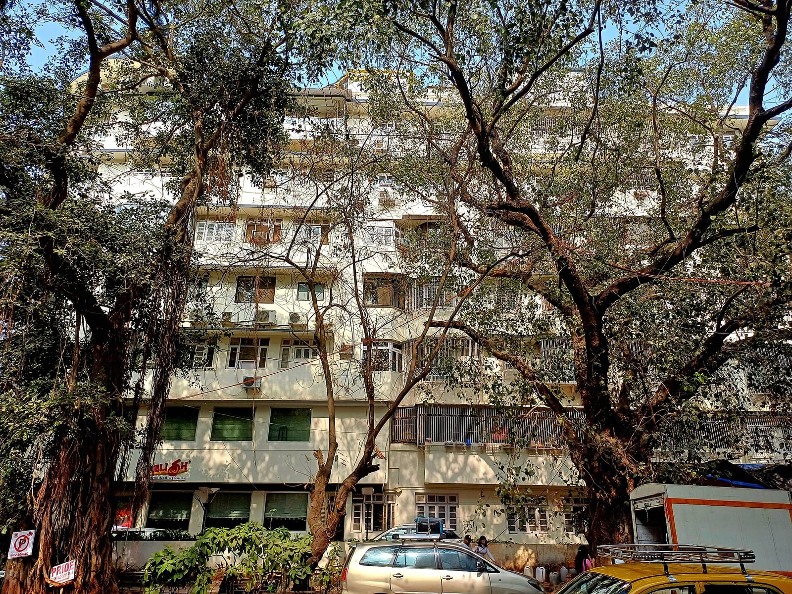 Earth Cafe @ Churchgate photo 5