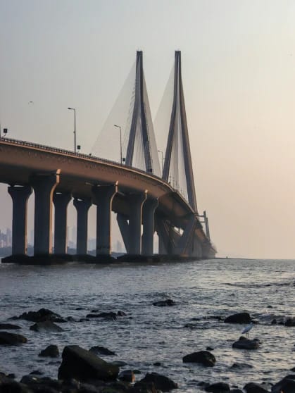Boulevard - 24 Hour Coffee Shop - The Orchid photo 6
