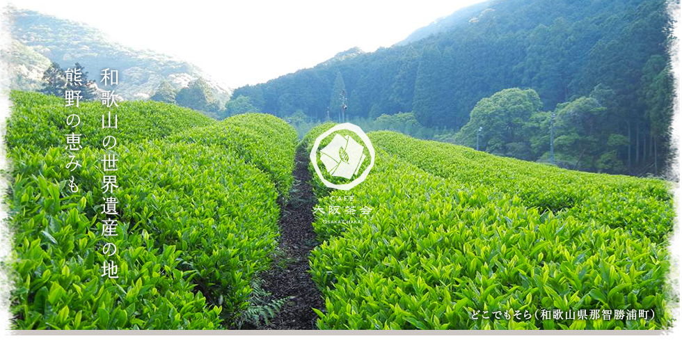 CAFE大阪茶会 photo 6