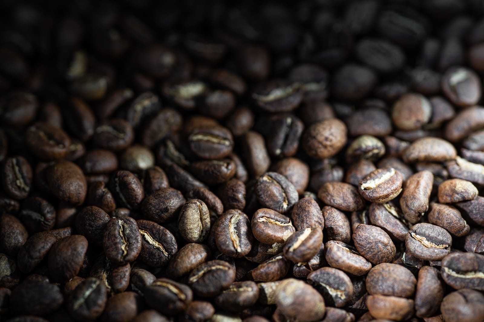 Mel Coffee Roasters photo 2