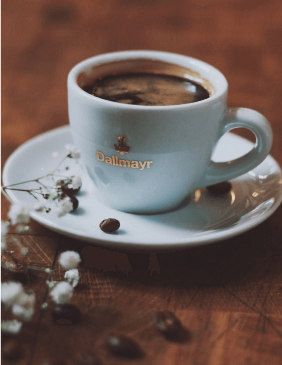 Cafe AMADEUS STORY photo 5