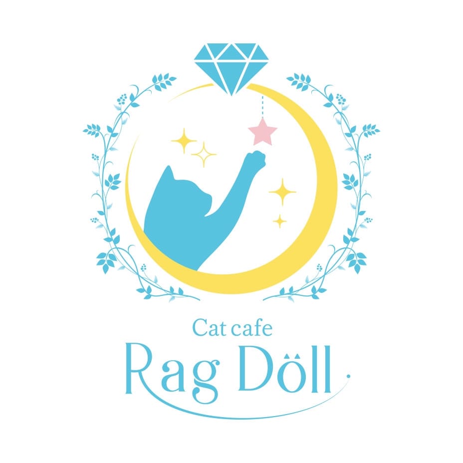猫Cafe RagDoll photo 2