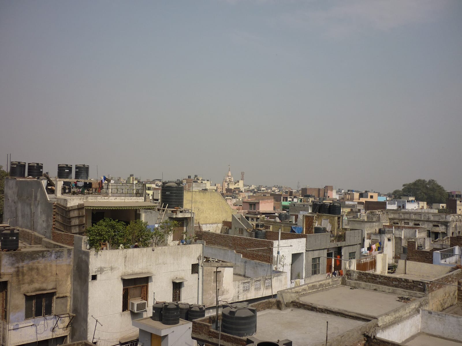 Krishna Rooftop Cafe photo 4