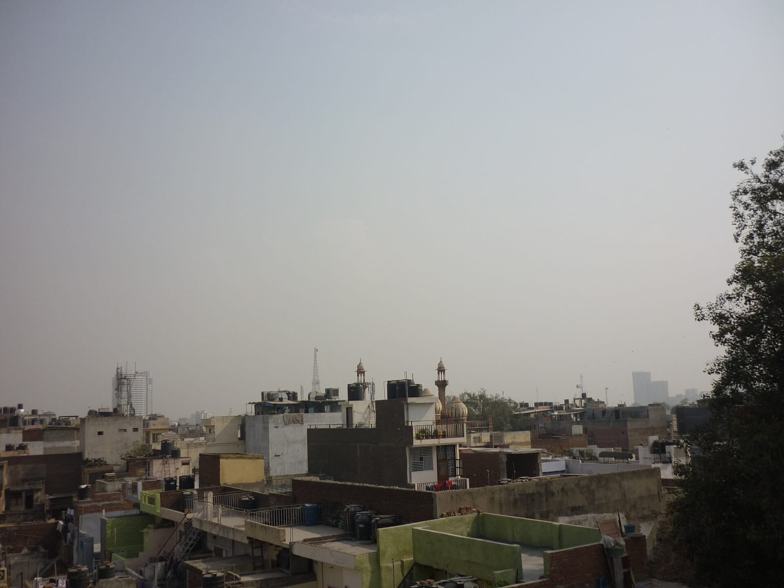 Krishna Rooftop Cafe photo 3