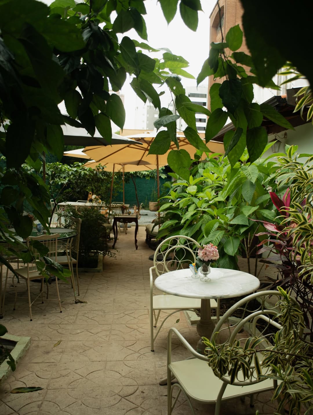 Copa Cozinha Floresta