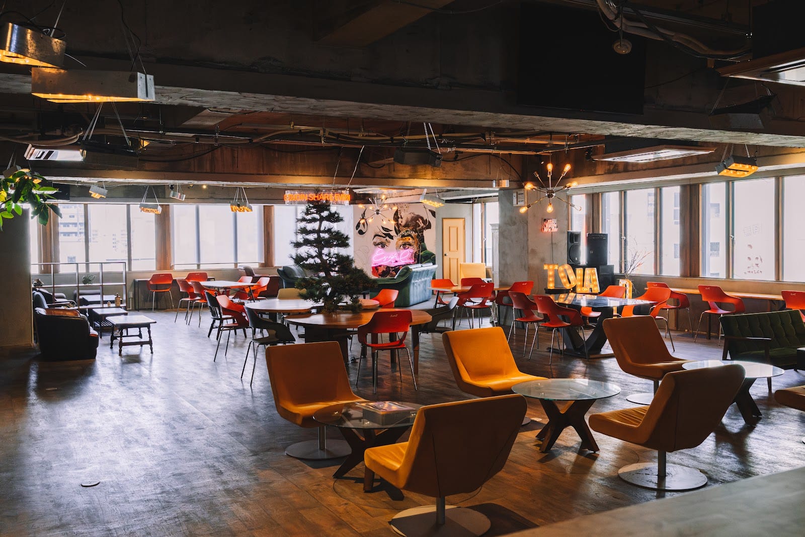 CAFE TOLAND