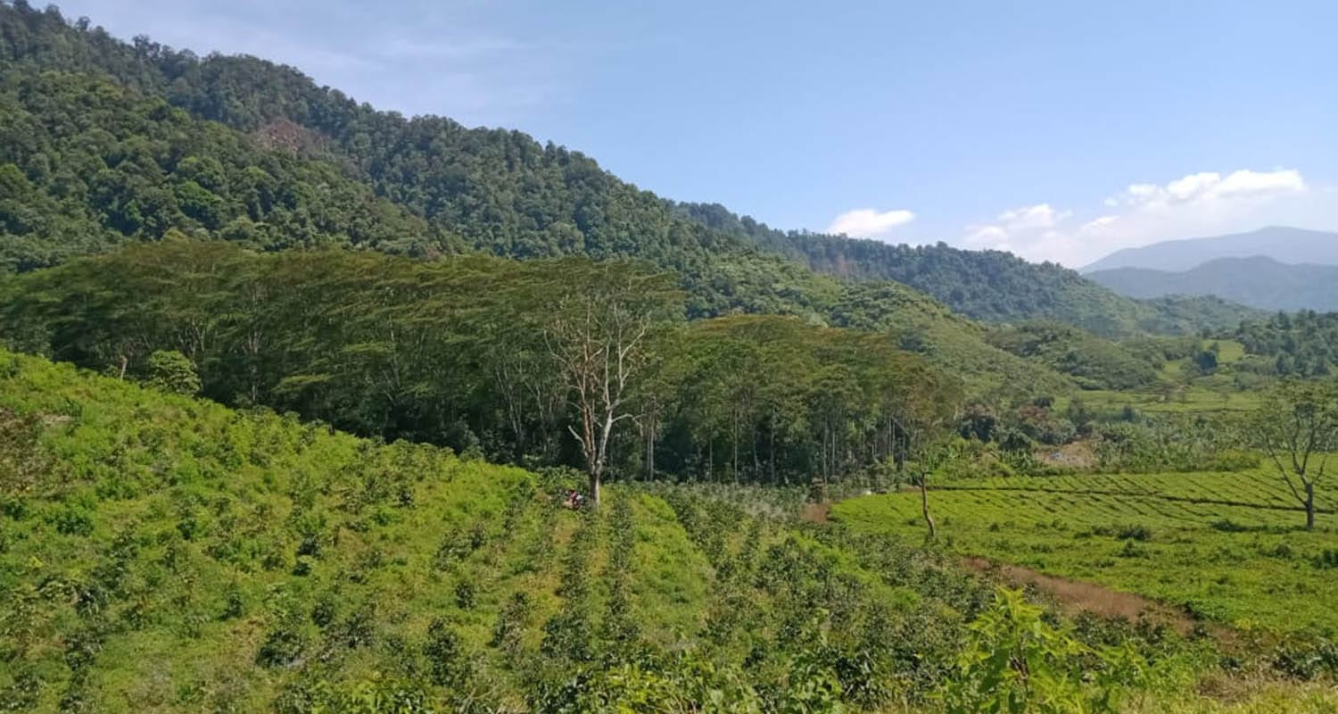 Bukanagara Coffee & Roastery photo 3