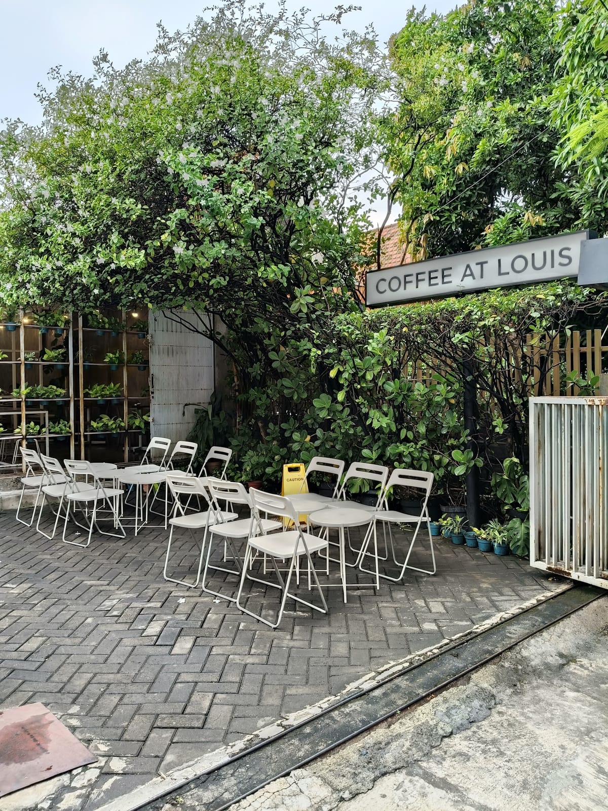 Coffee at Louis