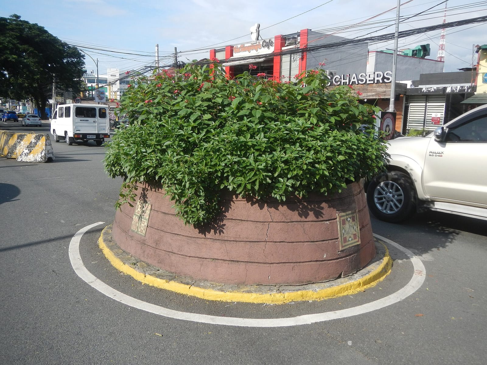 CLOUDS CAFE photo 5