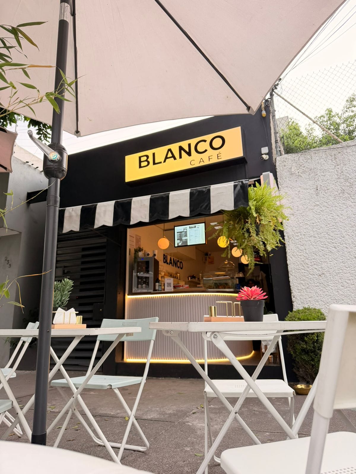 BLANCO (Barra de Cafe)