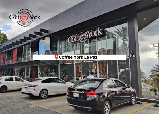 The Coffee York La Paz