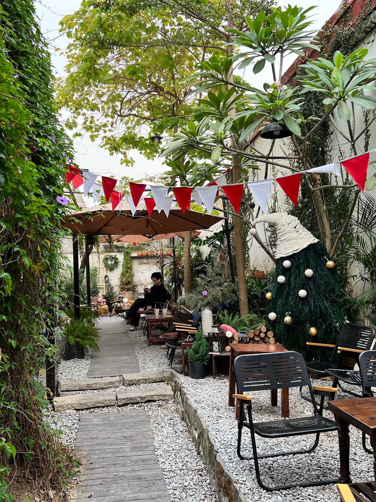 Tree house coffee