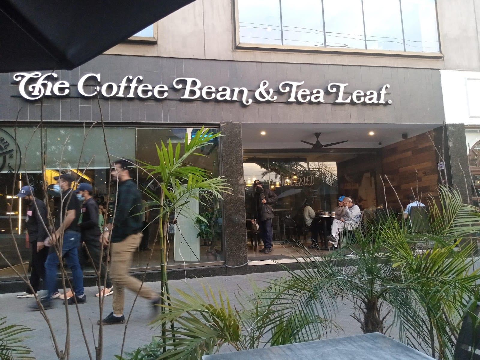The Coffee Bean & Tea Leaf