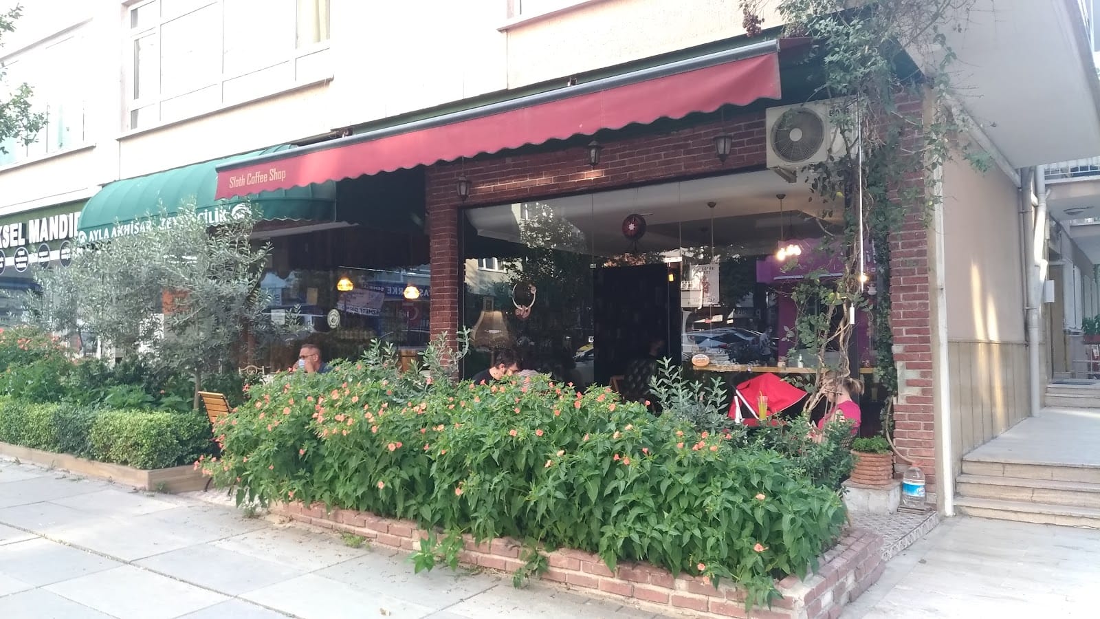 Sloth Coffee Shop