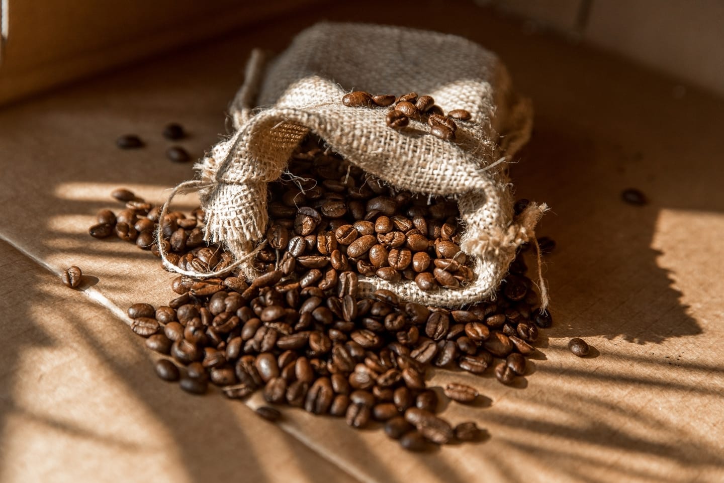 Kontrbus Coffee Co. Bursa photo 7