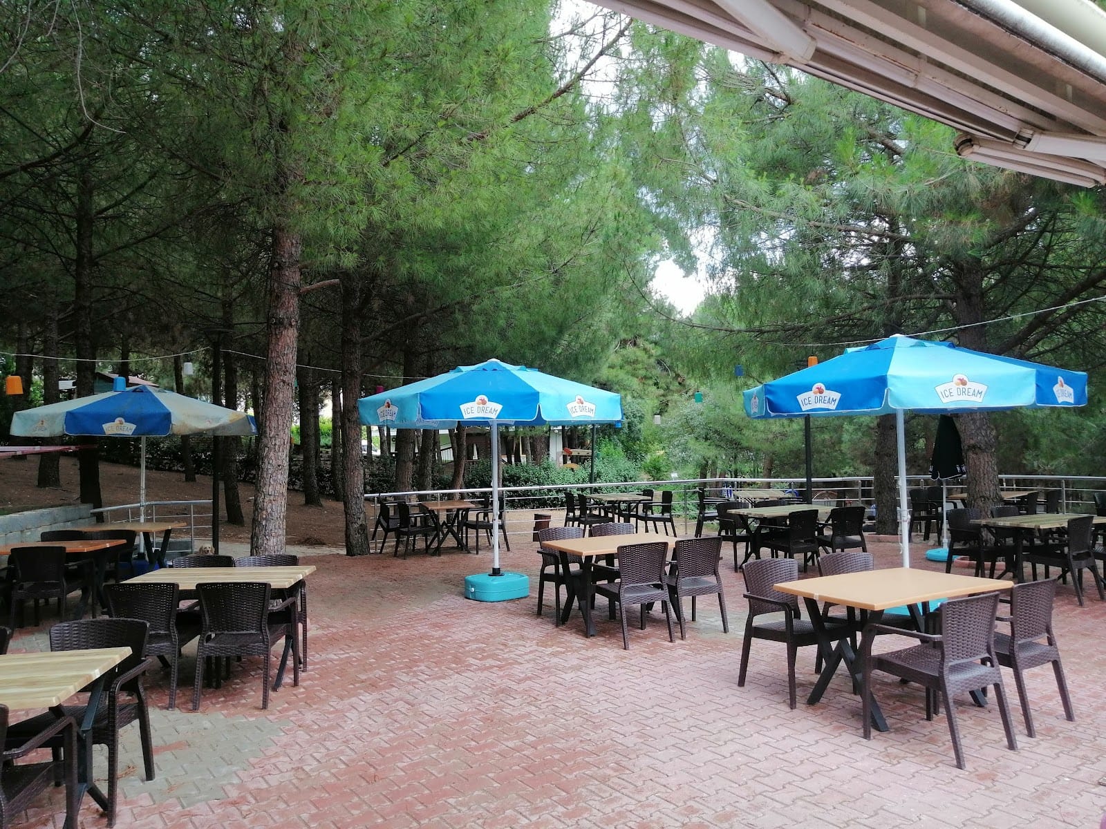 Çamlıca Kafe Restaurant Bursa Nargile