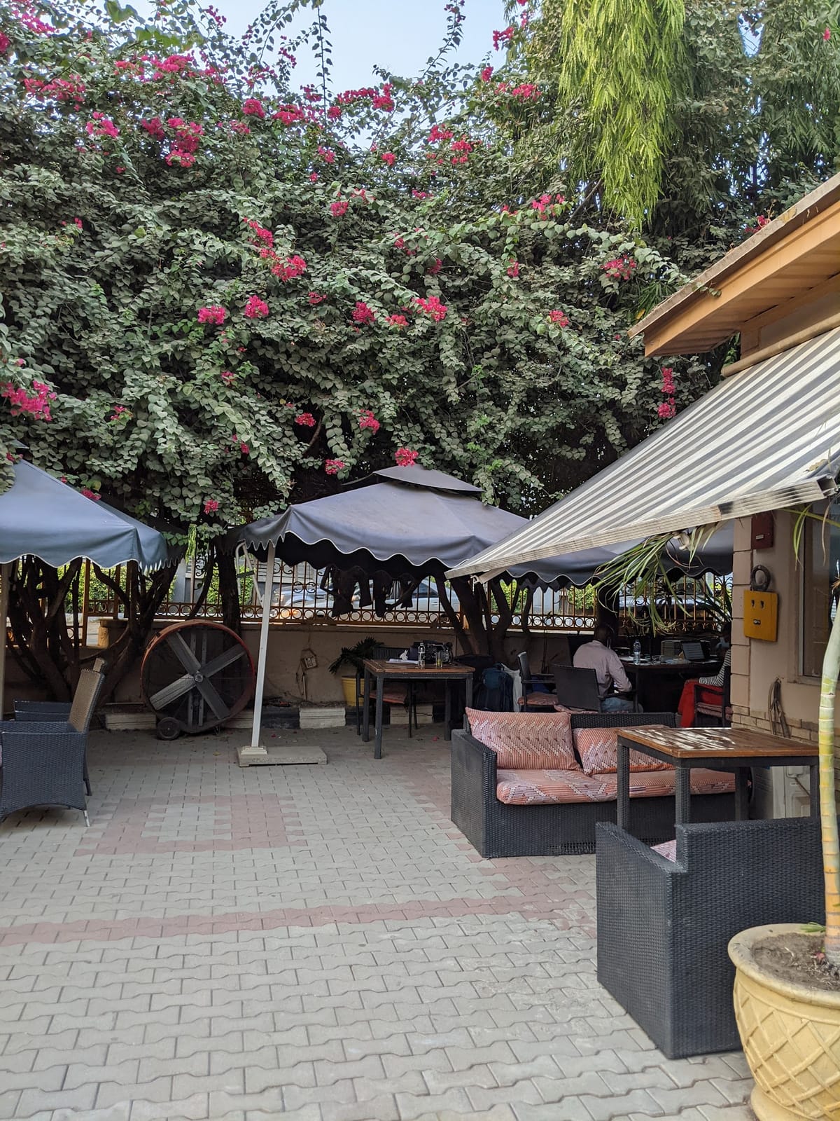 Salamander Cafe