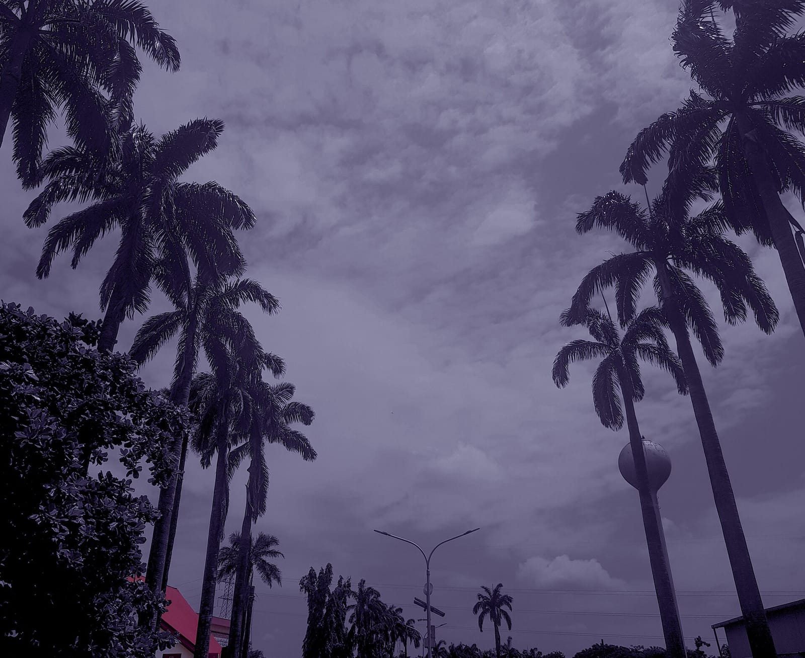 Café One UNILAG photo 3
