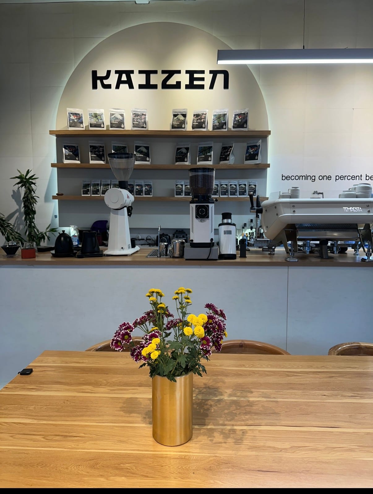 Kaizen Cafe