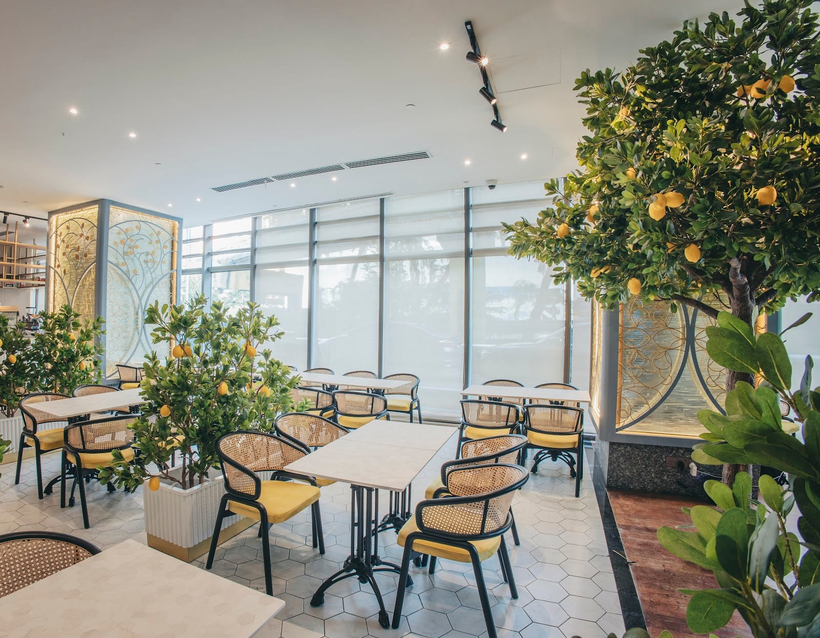 The Lemon Tree