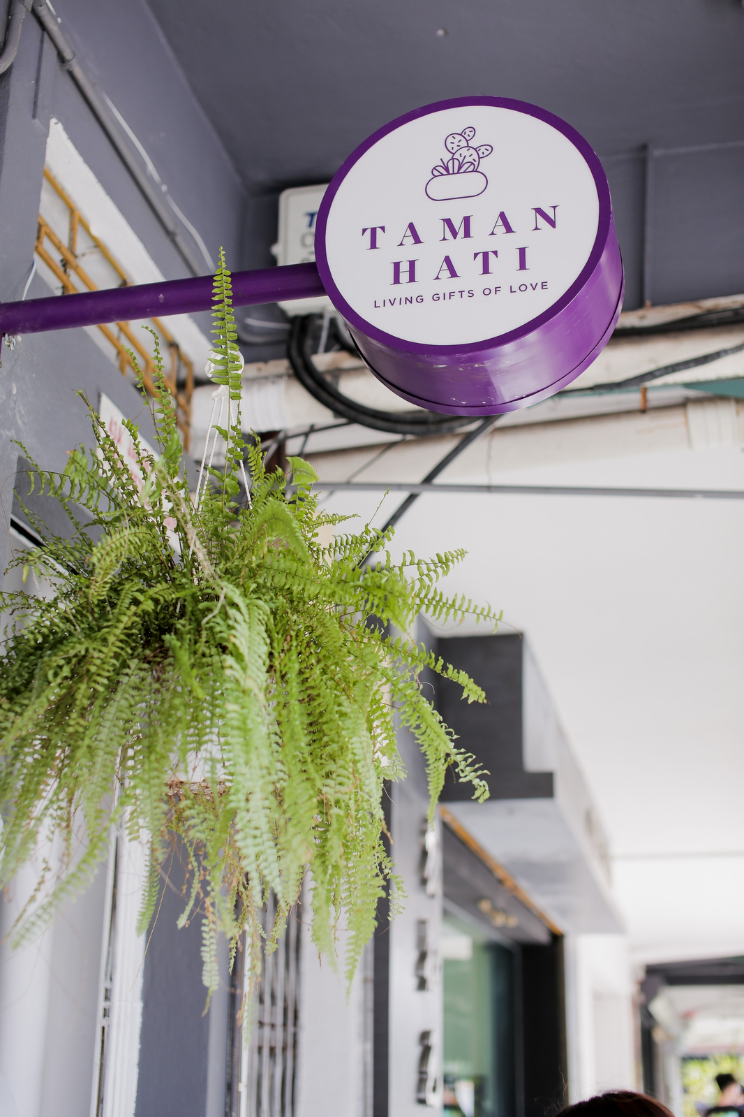 Taman Hati Studio & Cafe photo 5
