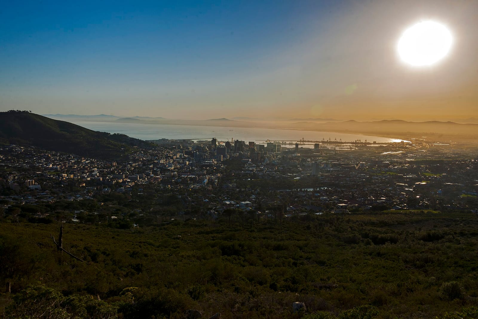 Table Mountain Cafe photo 2