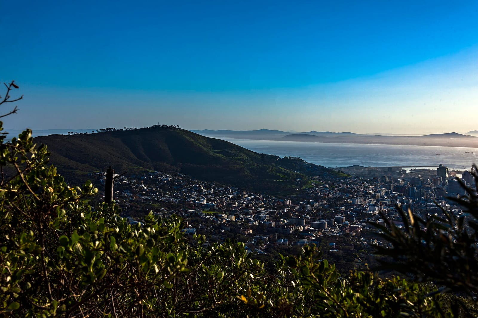 Table Mountain Cafe photo 3