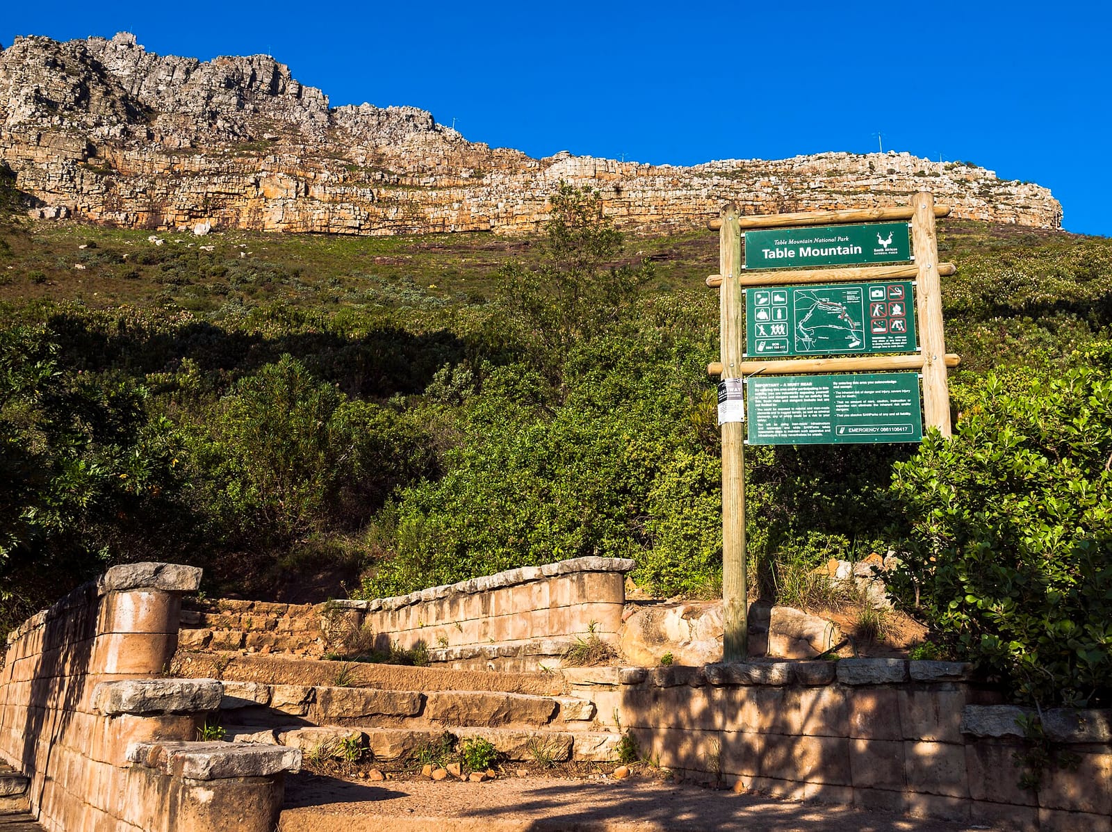 Table Mountain Cafe photo 4