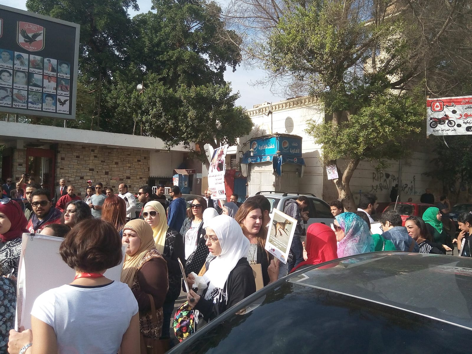 Stage El Nile photo 3