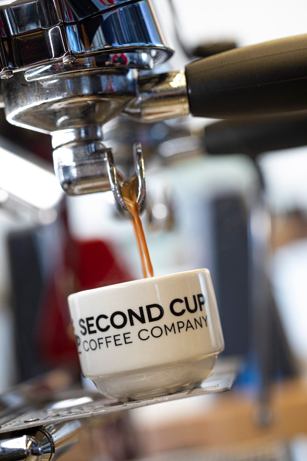 Second Cup Mossadak photo 4