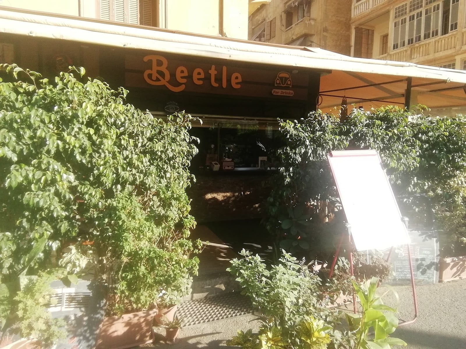 Beetle for drinks