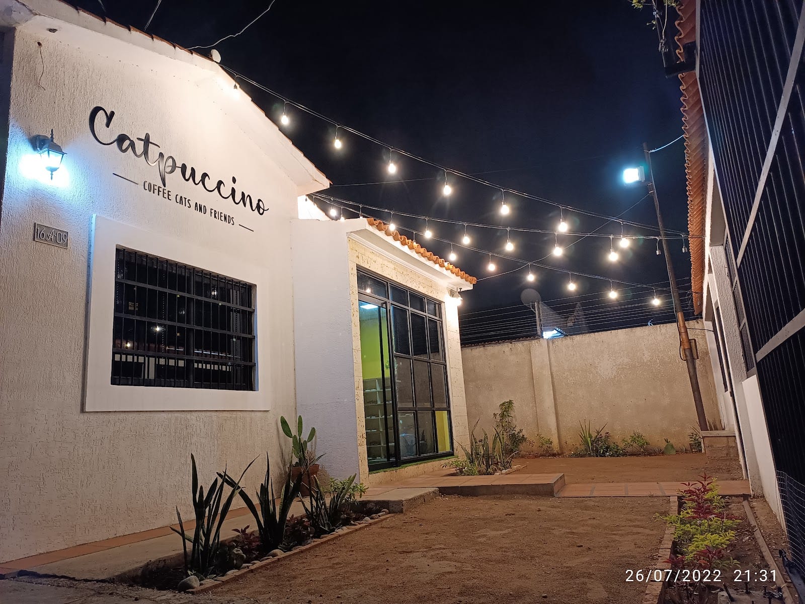 Catpuccino Cat Cafe